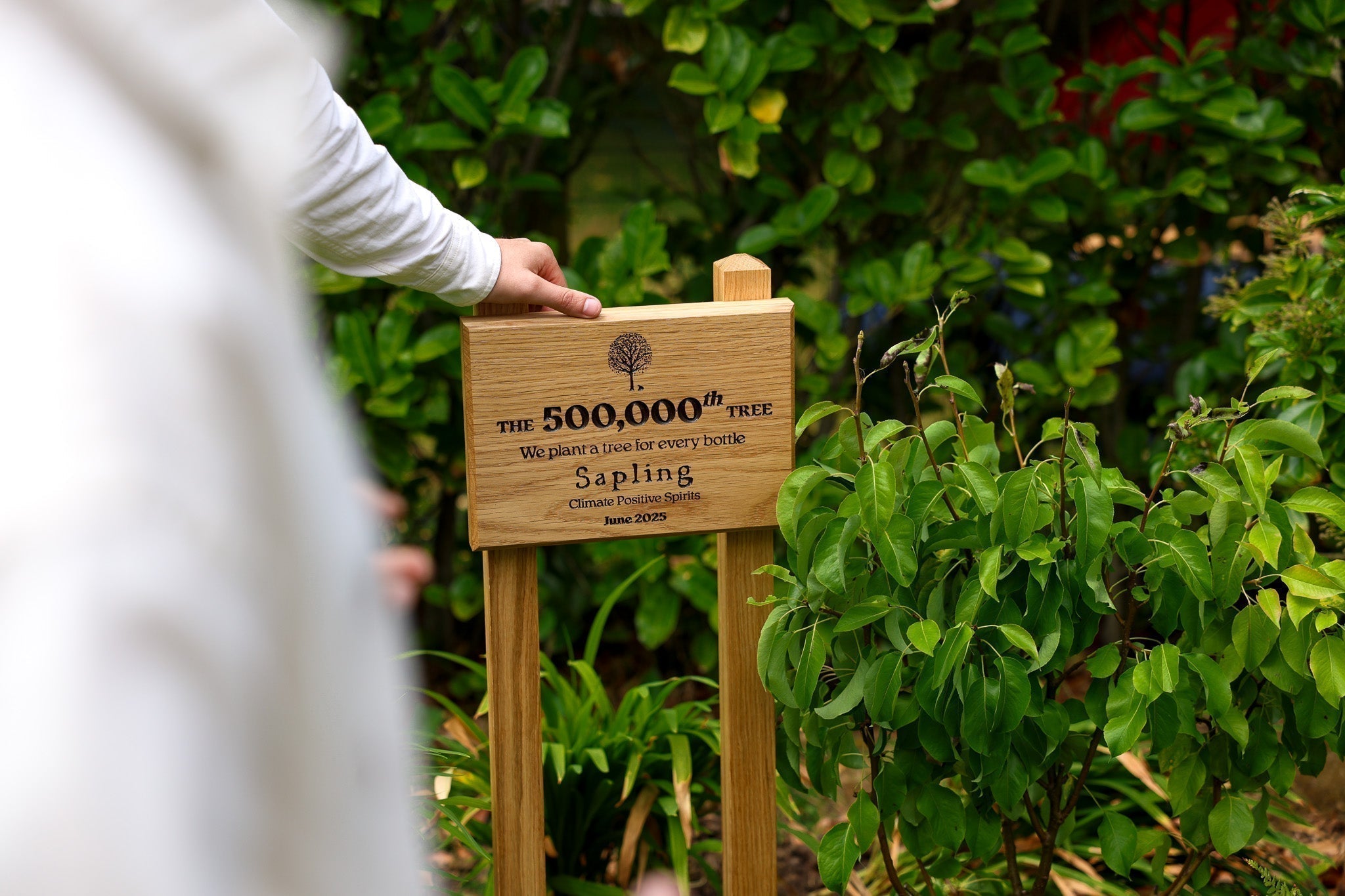 500,000 trees and Counting: How urban tree planting is cooling cities and connecting communities
