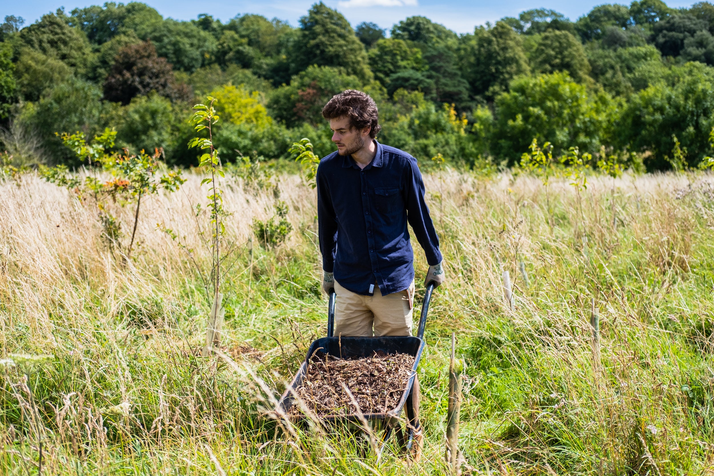 Is This The Time To Shift Our Agricultural Systems Towards Agroforestry?