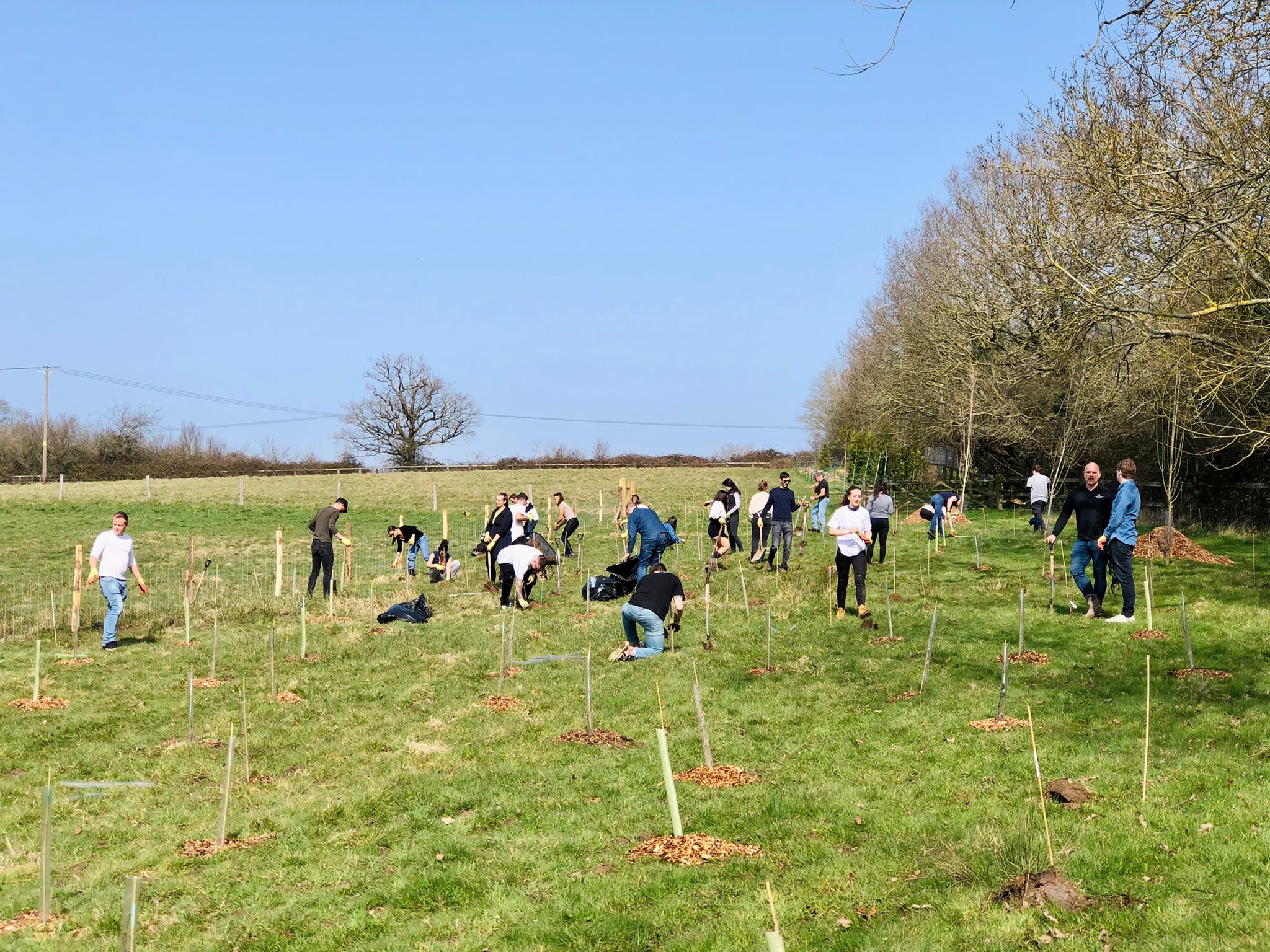 It's Tree Planting Season 💫