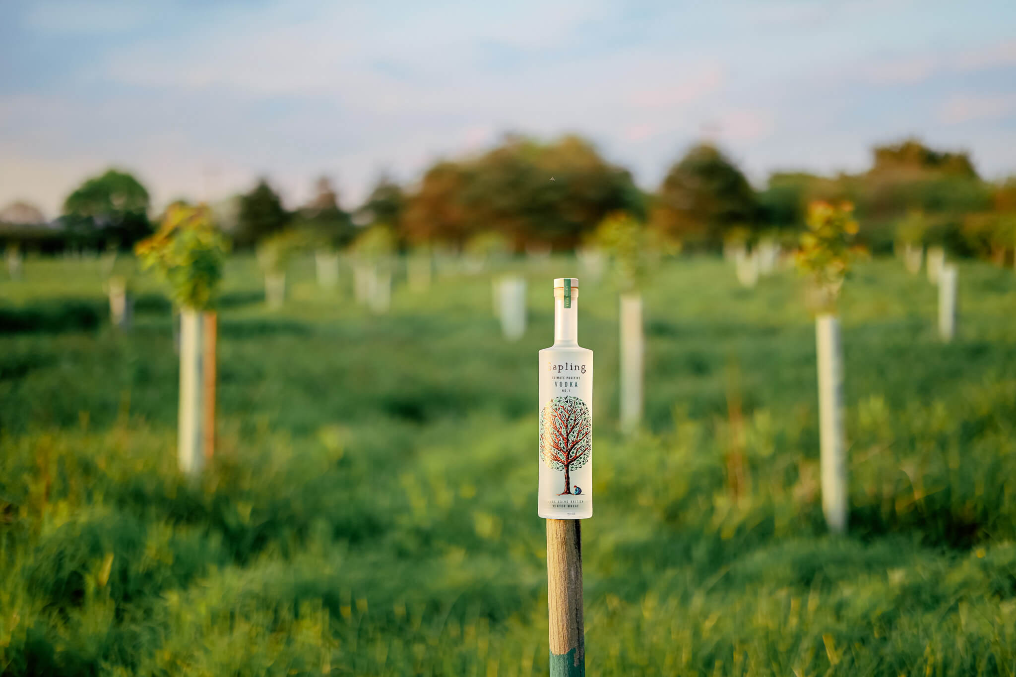 Unveiling the Spirit of Sustainability: Insights from Sapling's Founders on Earth Month and Beyond