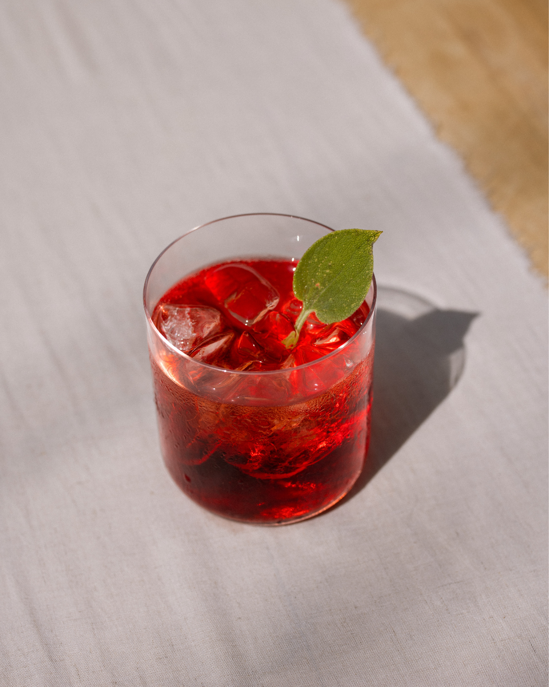 Sapling Negroni