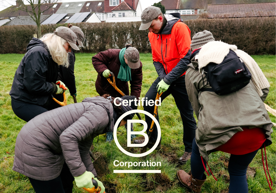 Raise Your Glass to Change: How B Corp Certification Shapes Sapling Spirits