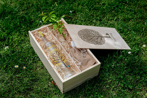 The G & Tree Gift box